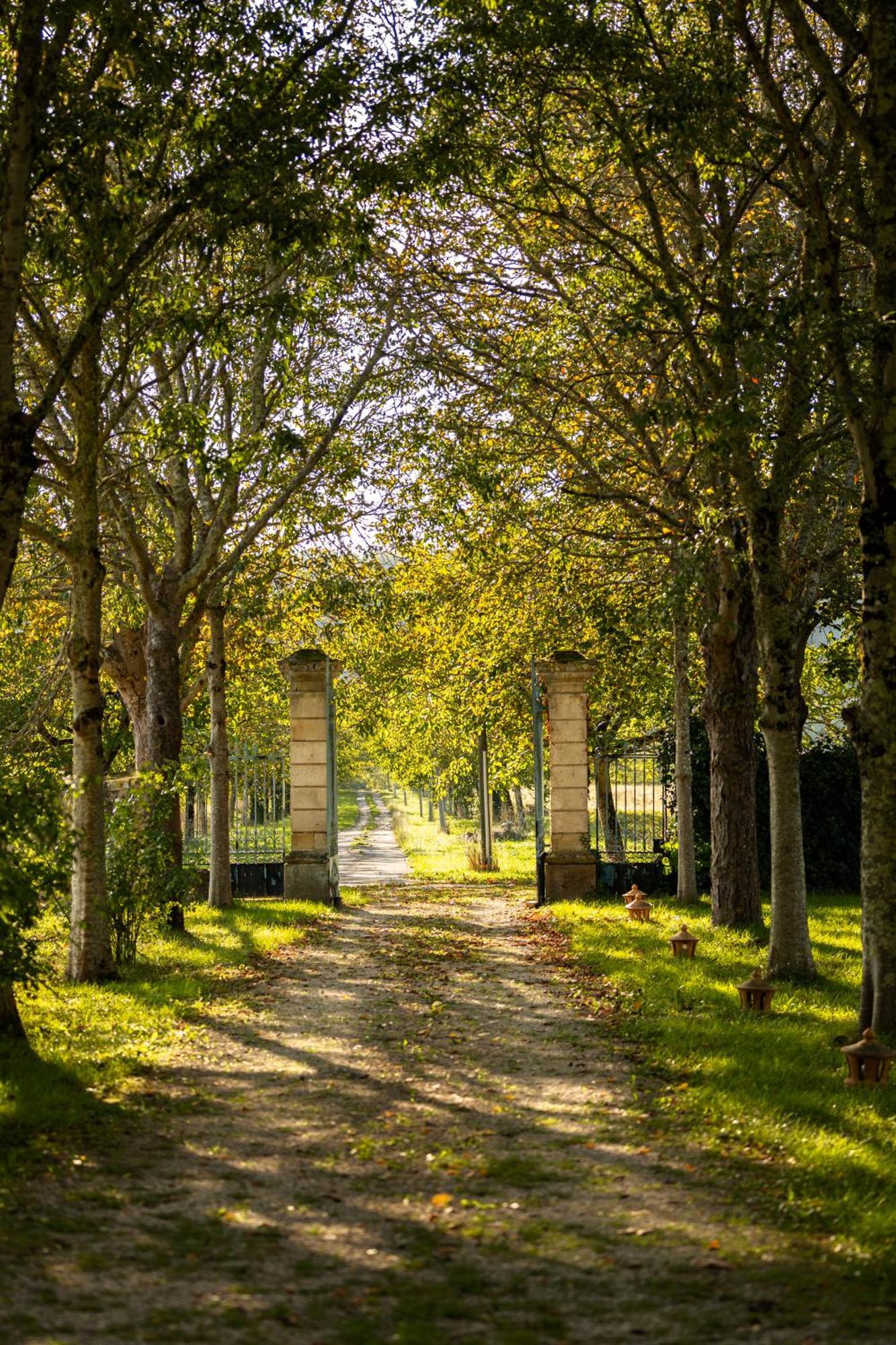 Chateau La Gineste - Castle And Vineyard Duravel Eksteriør billede