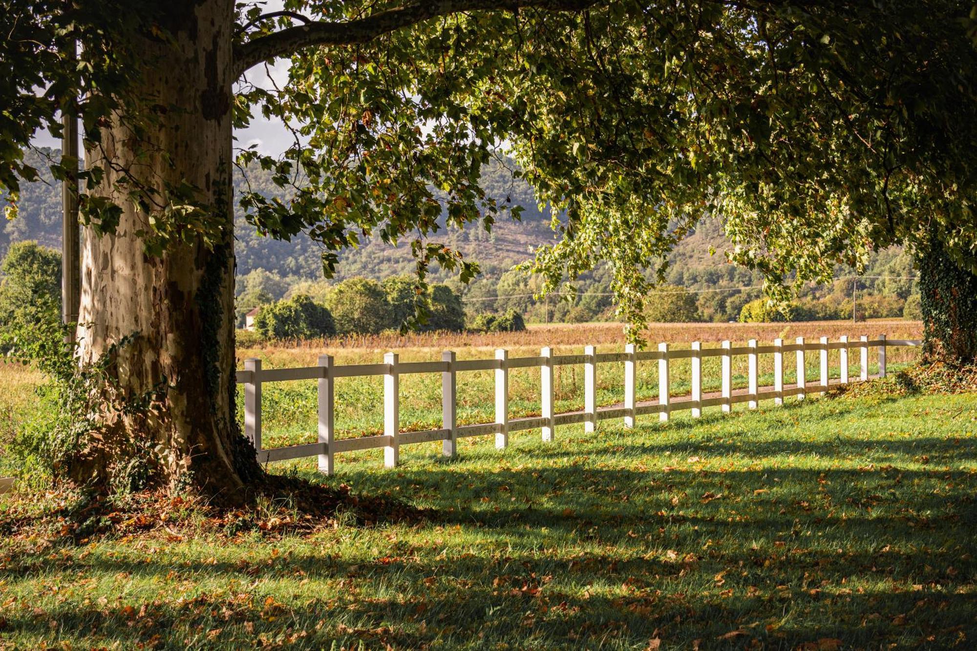 Chateau La Gineste - Castle And Vineyard Duravel Eksteriør billede