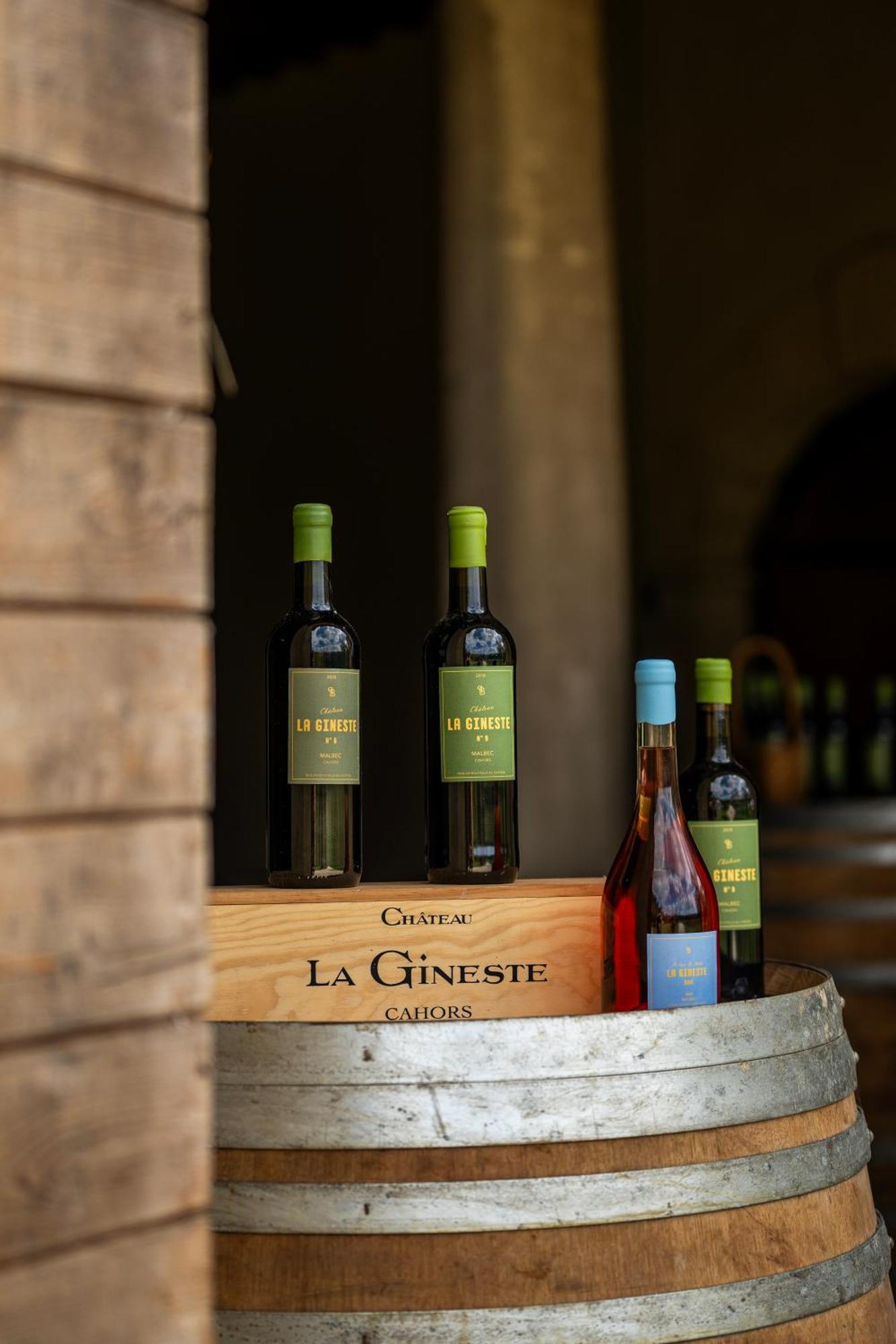 Chateau La Gineste - Castle And Vineyard Duravel Eksteriør billede